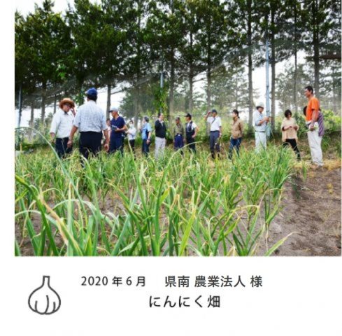 農地視察研修-1-1-owwqug56a760m277umr09ja2ghvl3p9sxr2ypecw00