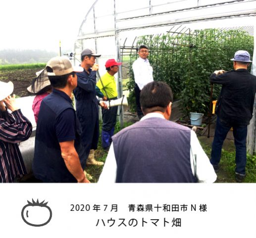 電解水農業　十和田市Ｎ様