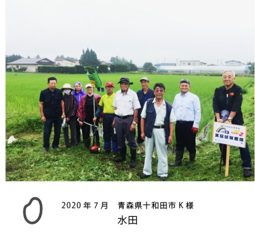 電解水農業　十和田市Ｋ様